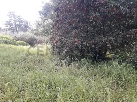 Terreno en Venta 20  mts Frente