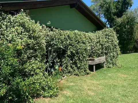 los guindos , Piso 0