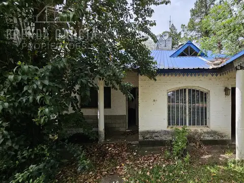 BARRIO TRONCOS PETRIFICADO