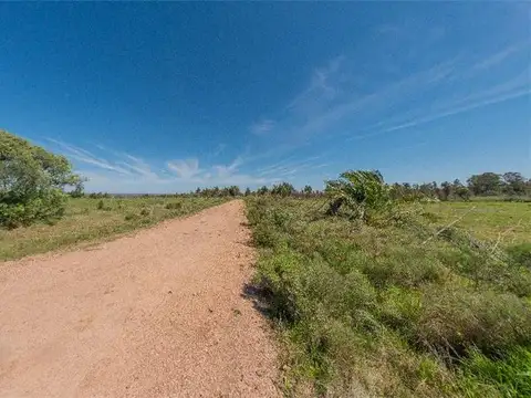 Campo en Venta de 3  ha