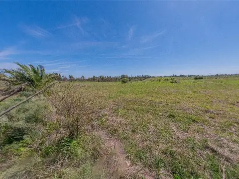 3,1 Ha Entorno Natural Privilegiado,  Montevideo Oeste...