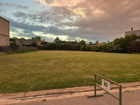 Old Man Barrio Haras Santa Maria Escobar