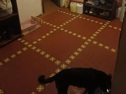 SE VENDE PH TIPO CASA 4 AMB EN BARRIO PIEDRABUENA VIEJO