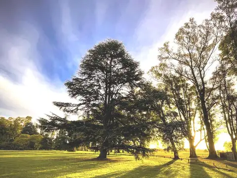 Terreno en Venta de 2650,0 m2