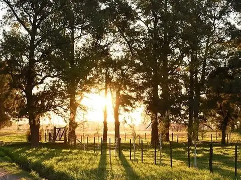 Barrio residencial El fogón - San Miguel del Monte