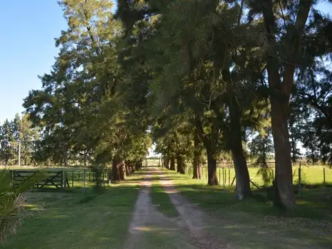 Terreno en Venta de 1100,0 m2