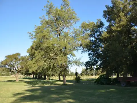 Terreno en Venta de 1100,0 m2