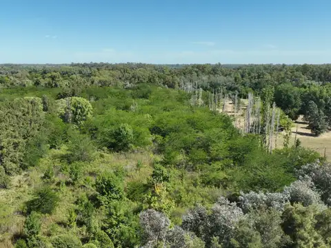 3 Has. sobre Ruta 6 en Pilar