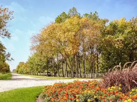 Terreno en Venta de 1077,0 m2