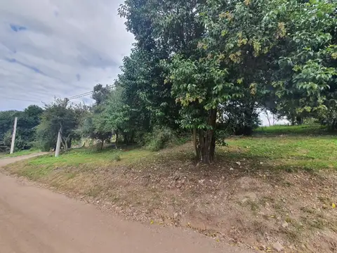 Seccion Y Mna 11 Lote 14 1