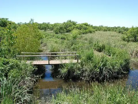 Terreno en Venta 75  mts Frente