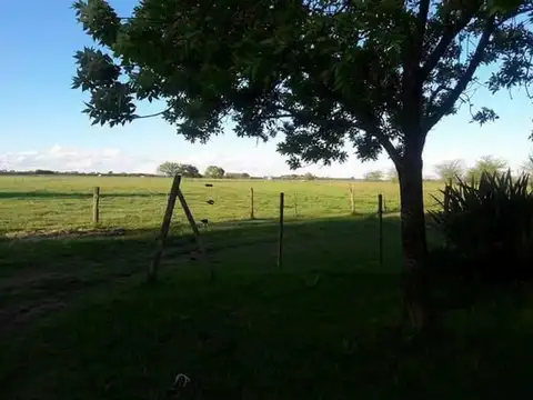 EN VENTA 60 HECTÁREAS 