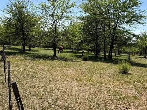 Terreno en Venta de 750,0 m2