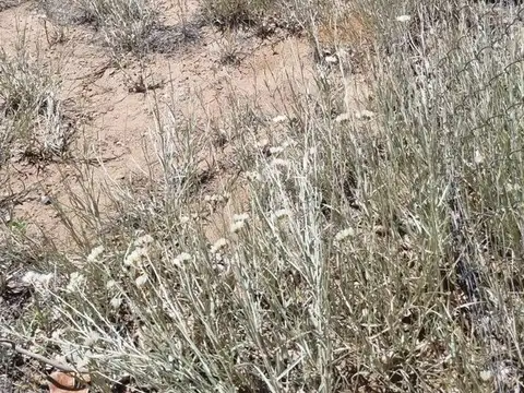 Terreno en Venta de 402,0 m2