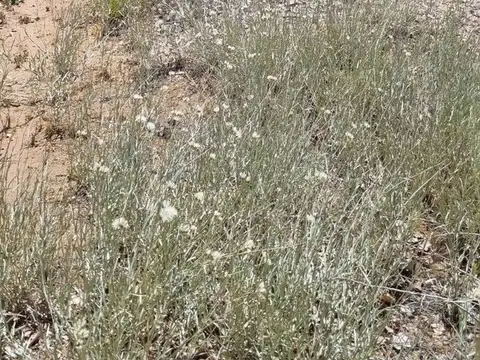 Terreno en Venta en Senillosa, USD 9.300