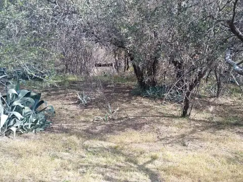 Terreno en Venta en Loma Bola, USD 25.000