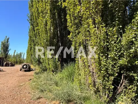 VENTA CHACRA 19 HECT FRENTE RUTA VILLA MANZANO