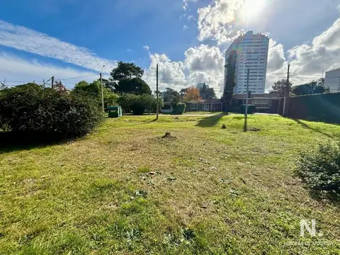 Terreno en Venta de 534,0 m2