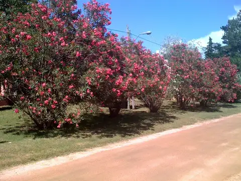 Casa en Alquiler Temporal de 3 dormitorios