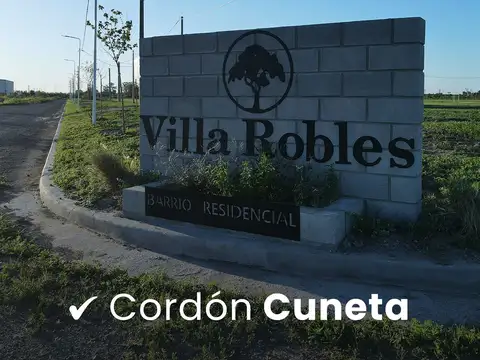 Alfredo Palacios 100