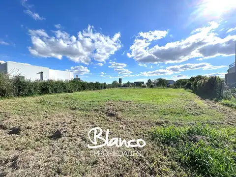 El Cantón - Puerto -