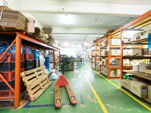 Albert Einstein 4100