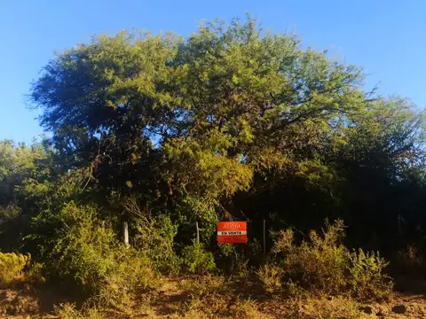 Campo en Venta con Alambrado