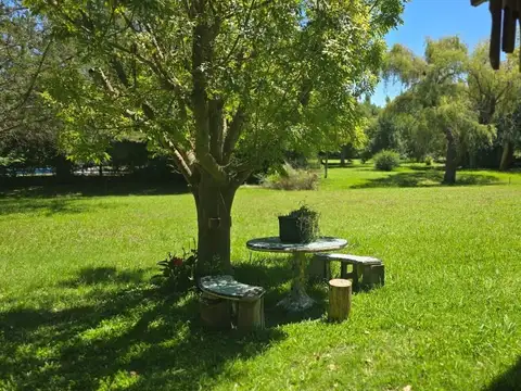 LOS PINOS -RUTA 8 KM 72-BARRAGAN 100