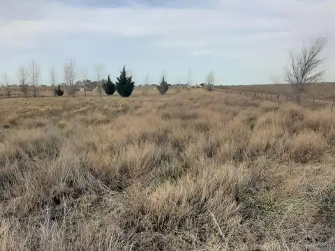 Terreno en Lemu Cuyen