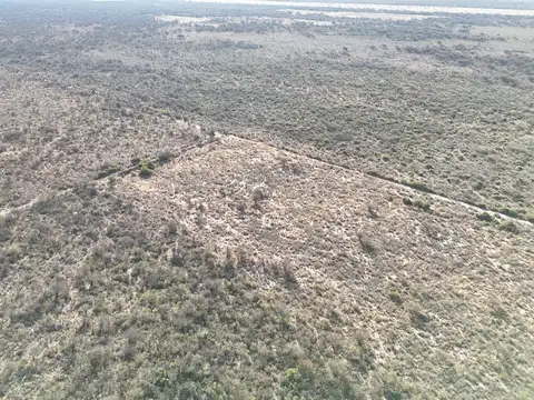 Campo en Venta de 780  ha