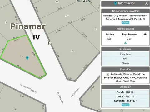 Carlos Pellegrini y Avellaneda 100