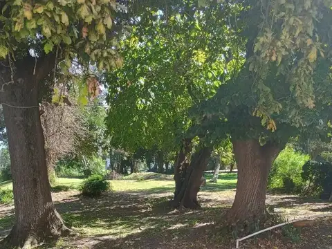 Edificio Comercial en alquiler - 10 Dormitorios 7 Baños - Berisso