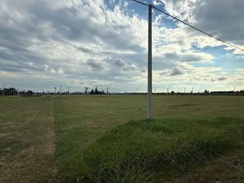 Av. Loc Ciruelos 2700