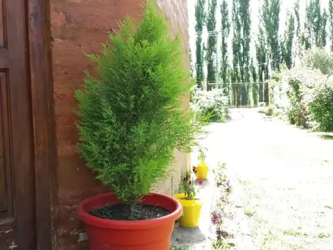 Chacra 56 Lote 12 E 100