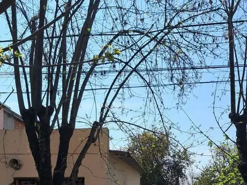 Local en Venta en San Antonio De Areco, USD 85.000