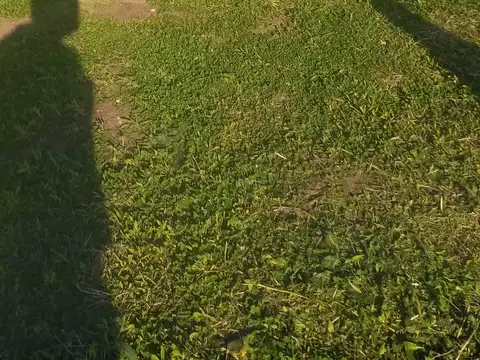 Terreno en Venta 15  mts Frente