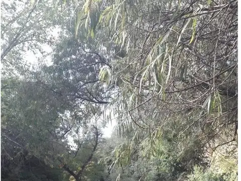 Terreno en Venta 20  mts Frente