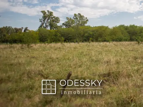 Terreno en Venta en Colonia Santa Rosa, USD 15.000