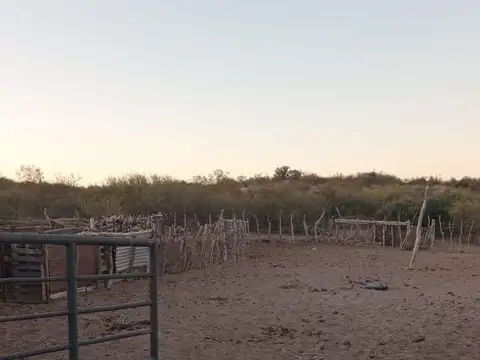 CAMPO GANADERO CON AGUA