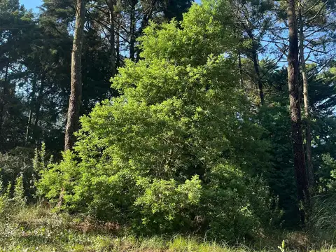 Terreno en Venta de 1328,0 m2