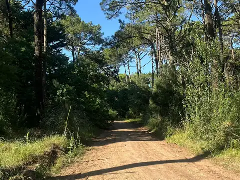 Terreno en Venta de 1328,0 m2