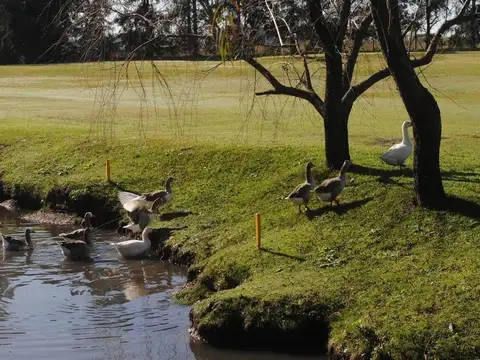 Terreno en Venta de 357,0 m2