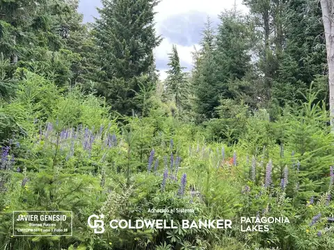 Terreno en Venta de 3000,0 m2