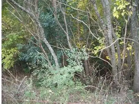 Terreno en Venta de 635,0 m2