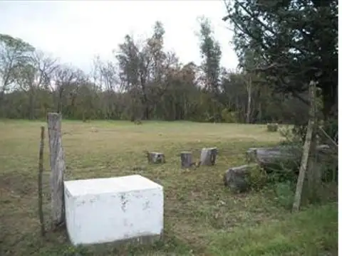 Nicanor RodrÍguez 300