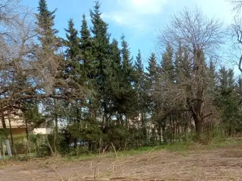 Terreno en Venta en Isidro Casanova, USD 200.000