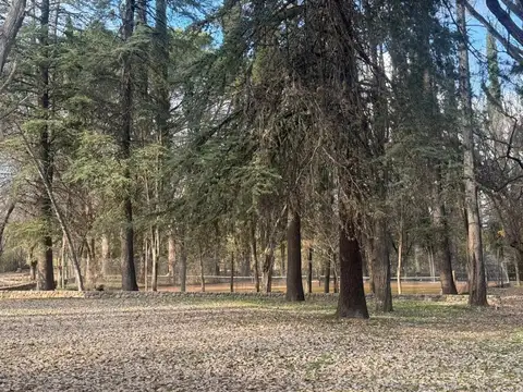 Terreno en Venta en Nono, USD 69.500