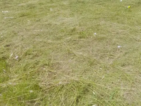 Terreno en Venta de 360,0 m2