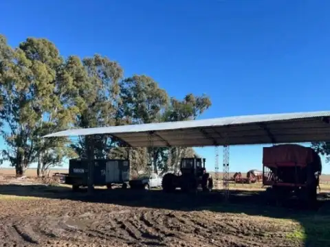 Campo en venta - 10.030.000Mts2 - Tres Arroyos