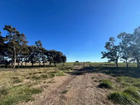Campo en venta - 10.030.000Mts2 - Tres Arroyos
